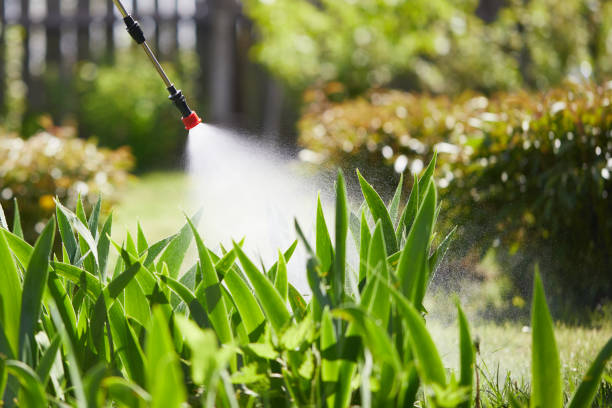 24/7 Emergency Ant Control experts in Hamilton, IN